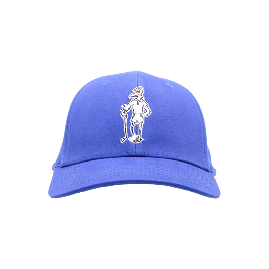 Curtis the Birdus stretch-fit hat